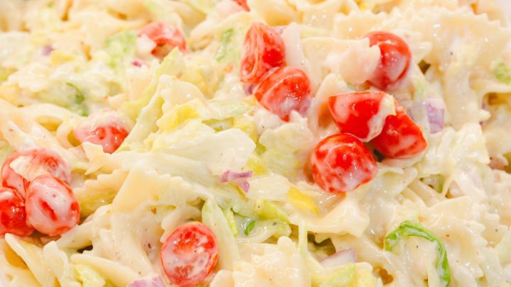 Prepare to be blown away by the Grinder Pasta Salad – a delightful fusion of both lettuce and pasta salads that guarantees to be the star of any summer spread especially for the people who love the tiktok sandwich slaw.