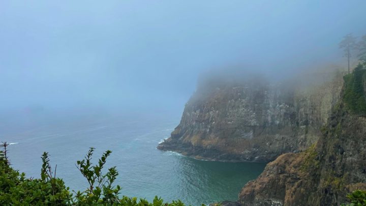 We were able to go down to the water but also take in some trails to see the ocean from above. The Pacific coast in Oregon is worth the time.