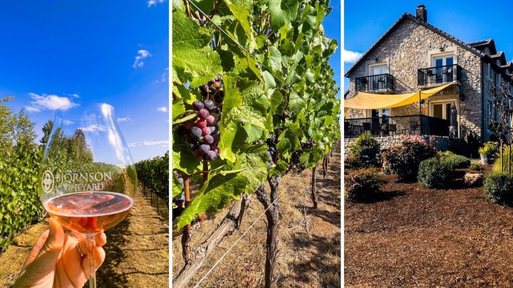 The last stop of day was at Bjornson Vineyard in Eola-Amity Hills. The locations was stunning and we encountered our first rosé of the day. It was the perfect ending to the day with a perfect garden setting on the edge of vineyard.