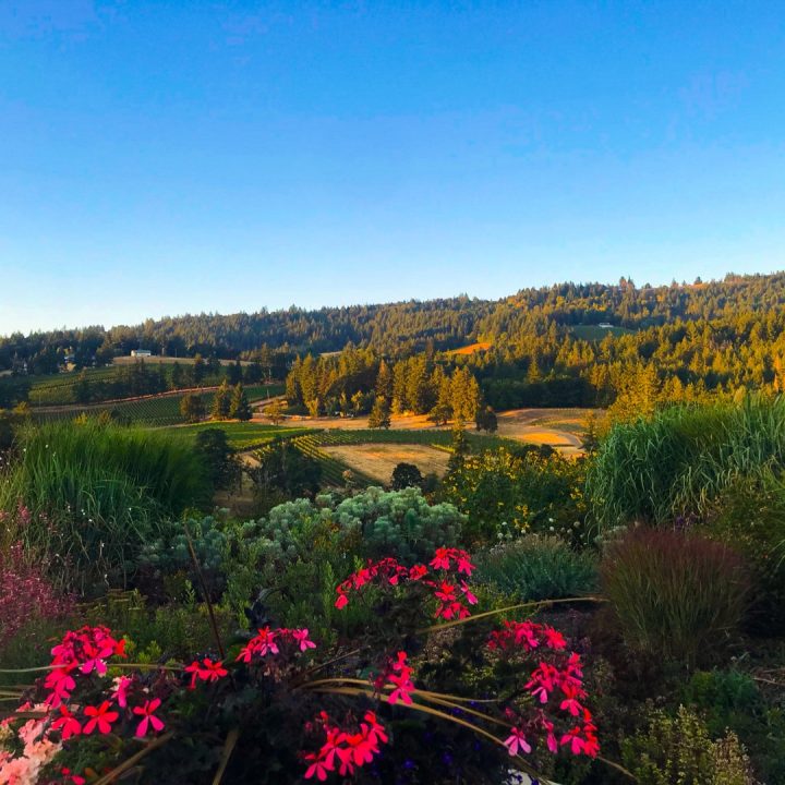 It was a gorgeous setting with a plated meal that took all of our thinking out of our evening meal.