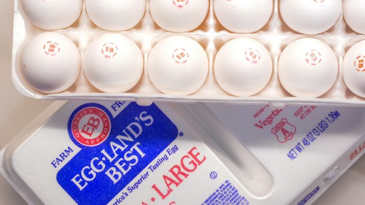 from our unique hen feed and strict quality standards, to our network of USDA-inspected local farms all over the United States, you can be confident that a classic, organic, or cage-free egg with the EB stamp on the shell is a nutritionally superior egg that delivers farm-fresh taste.