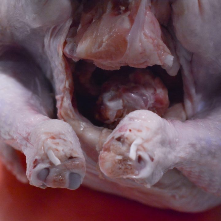 In the body cavity of the turkey, you will find the turkey neck and giblets.