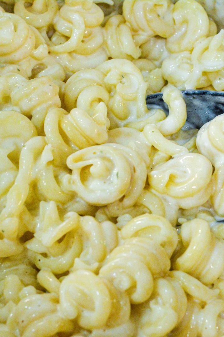 This white macaroni and cheese is a stovetop mac and cheese recipe made all in one pot with milk, cream, butter, cream cheese, and Italian cheeses.