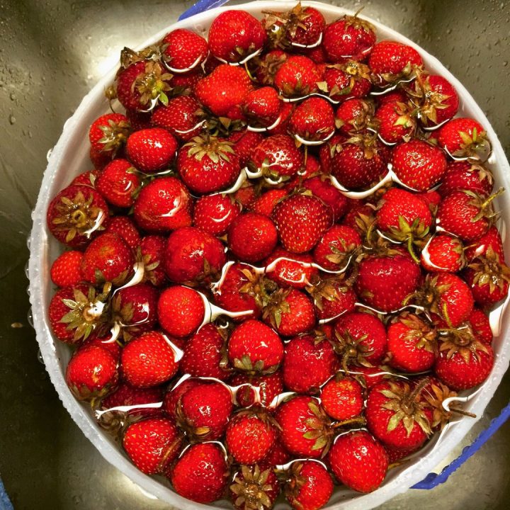 Strawberry Freezer Jam Ingredients -
fresh strawberries, washed and hulled

granulated sugar

fresh lemon juice

powdered fruit pectin