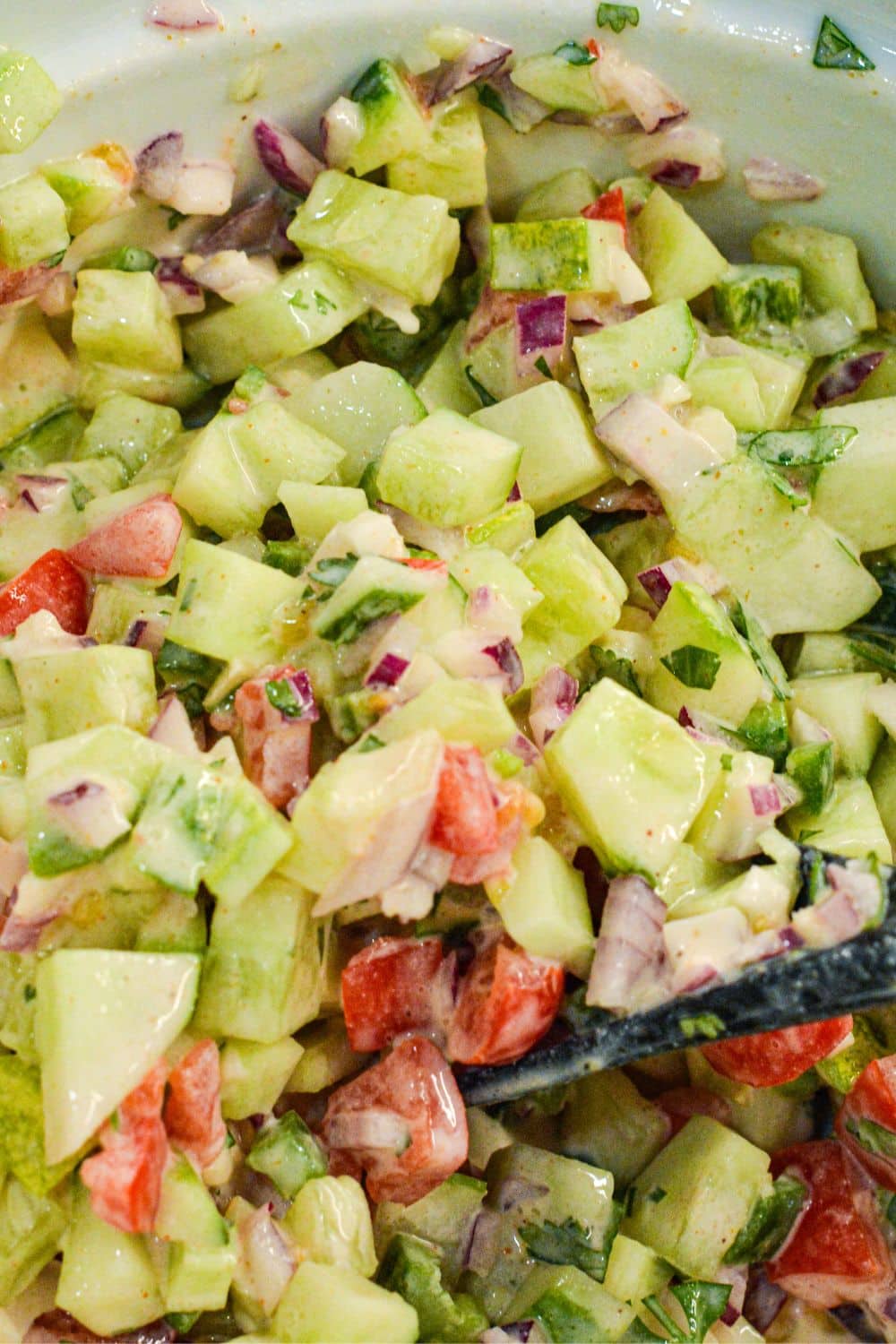 Fresh Cucumber Salsa — a crisp, creamy twist on classic salsa made with garden cucumbers, tomatoes, jalapeño, and a cool sour cream dressing. No cooking, ready in 20 minutes, perfect for chip dipping all summer long. 