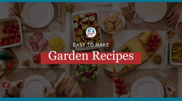 Overview shot of summer recipes from garden recipes